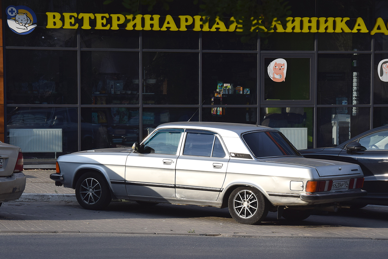 Волгоградская область, № Е 620 НР 134 — ГАЗ-3102 Волга '81-08