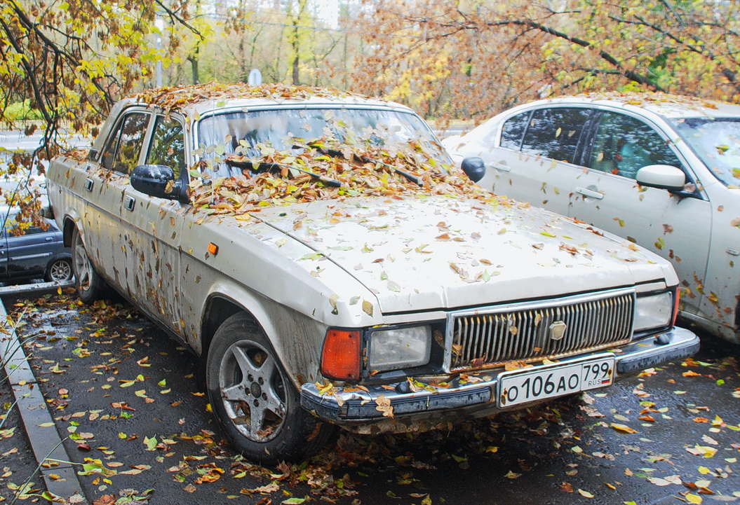 Москва, № О 106 АО 799 — ГАЗ-3102 Волга '81-08