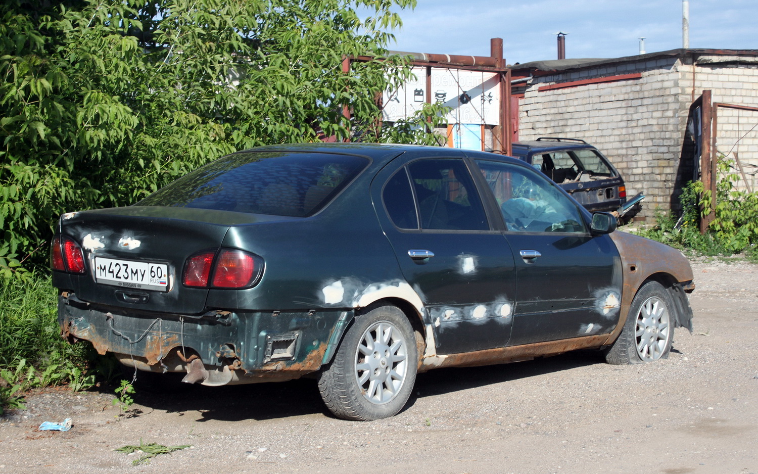 Псковская область, № М 423 МУ 60 — Nissan Primera (P11) '95-02