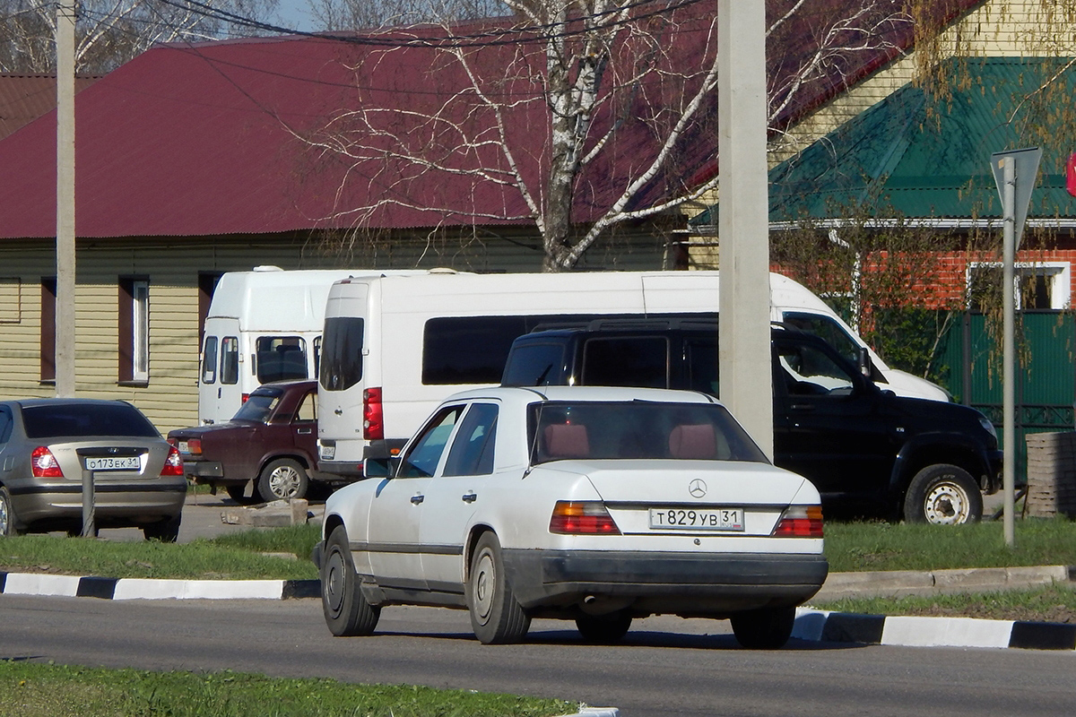 Белгородская область, № Т 829 УВ 31 — Mercedes-Benz (W124) '84-96