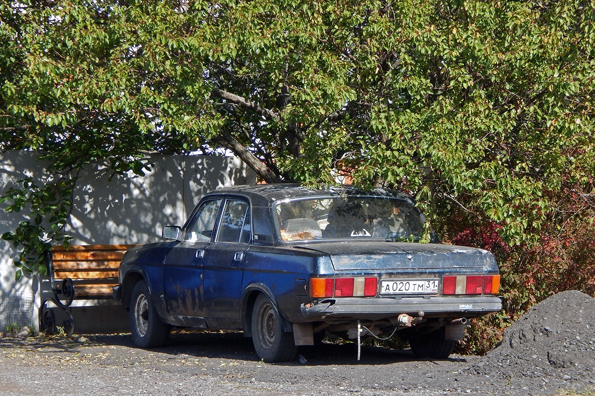 Белгородская область, № А 020 ТМ 31 — ГАЗ-31029 Волга '92-97