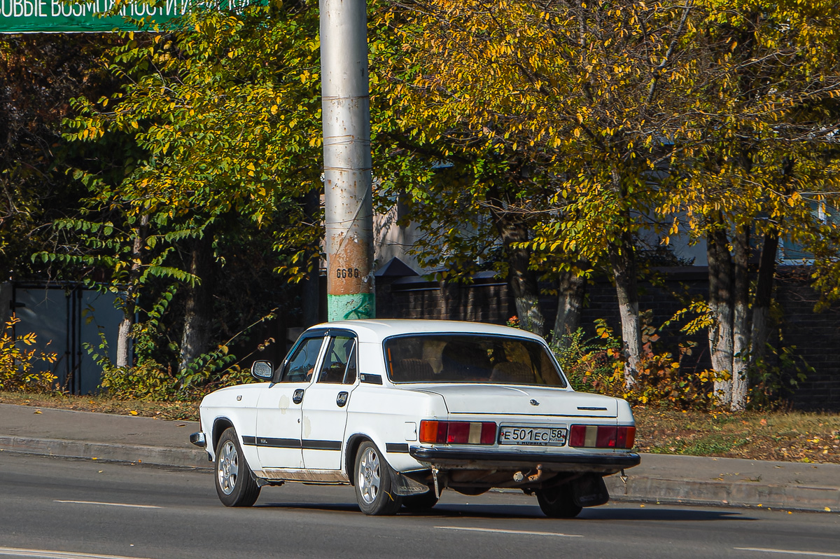 Пензенская область, № Е 501 ЕС 58 — ГАЗ-3102 Волга '81-08