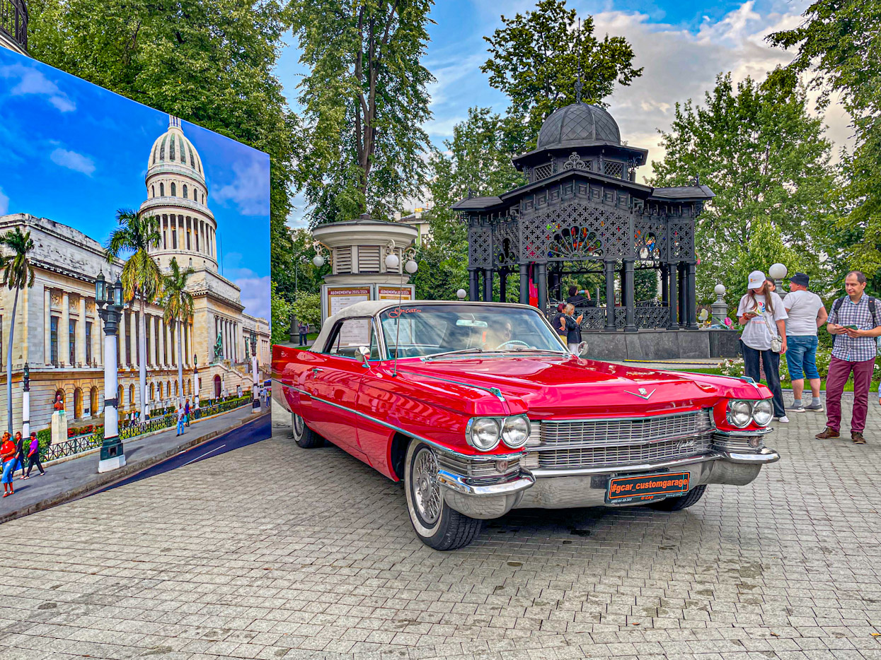 Транспортные средства без номеров (Москва)