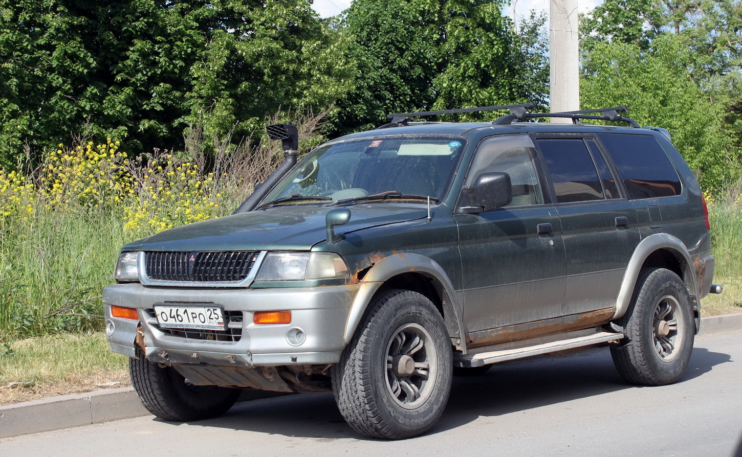 Псковская область, № О 461 РО 25 — Mitsubishi Challenger (1G) '96-01