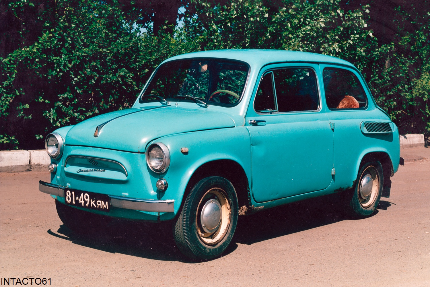Красноярский край, № 81-49 КЯМ — ЗАЗ-965А Запорожец '62-69; Исторические фотографии (до 2000 года) (Красноярский край)