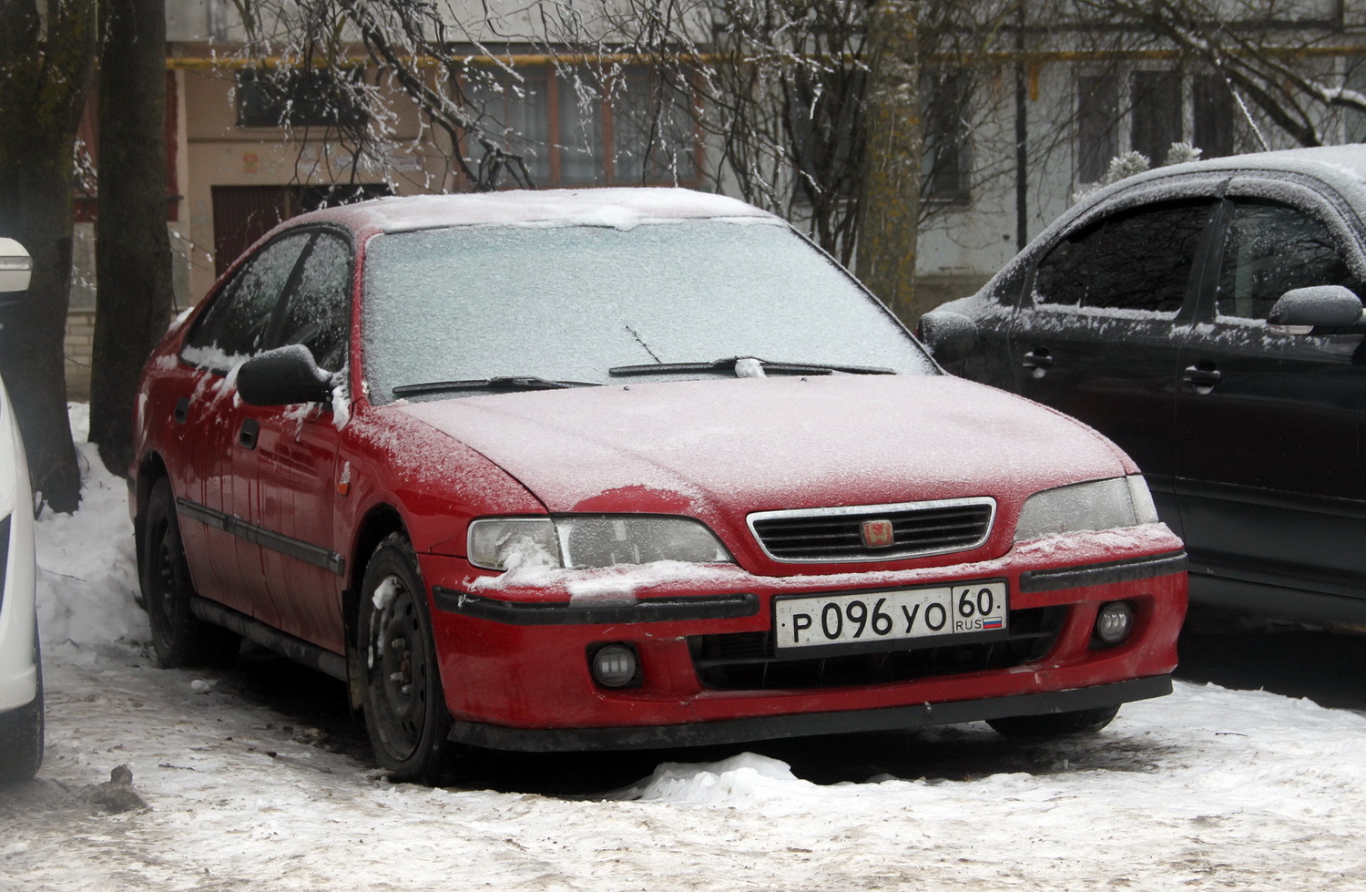 Псковская область, № Р 096 УО 60 — Honda Accord (5G) '93-98