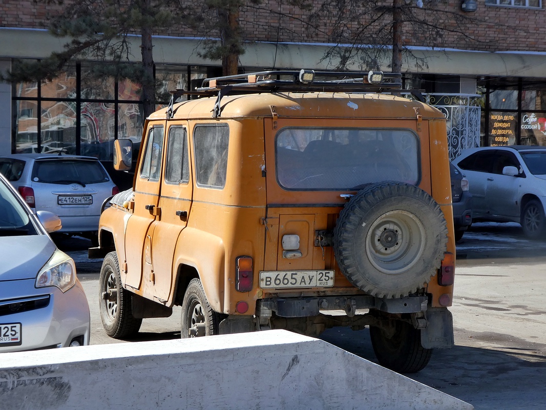 Приморский край, № В 665 АУ 25 — УАЗ-31514 '93-03