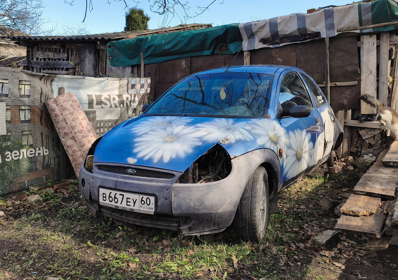 Псковская область, № В 667 ЕУ 60 — Ford Ka (1G) '96-08