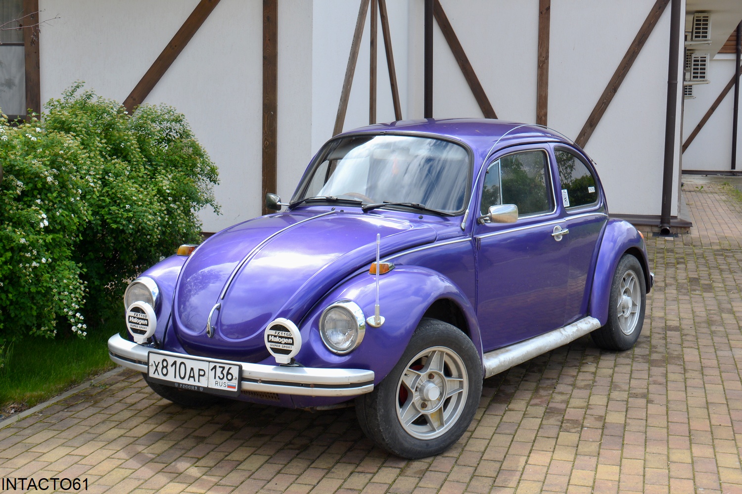 Краснодарский край, № Х 810 АР 136 — Volkswagen Käfer (общая модель); Воронежская область — Вне региона; Краснодарский край — Выставка "Гонка времени"-2025