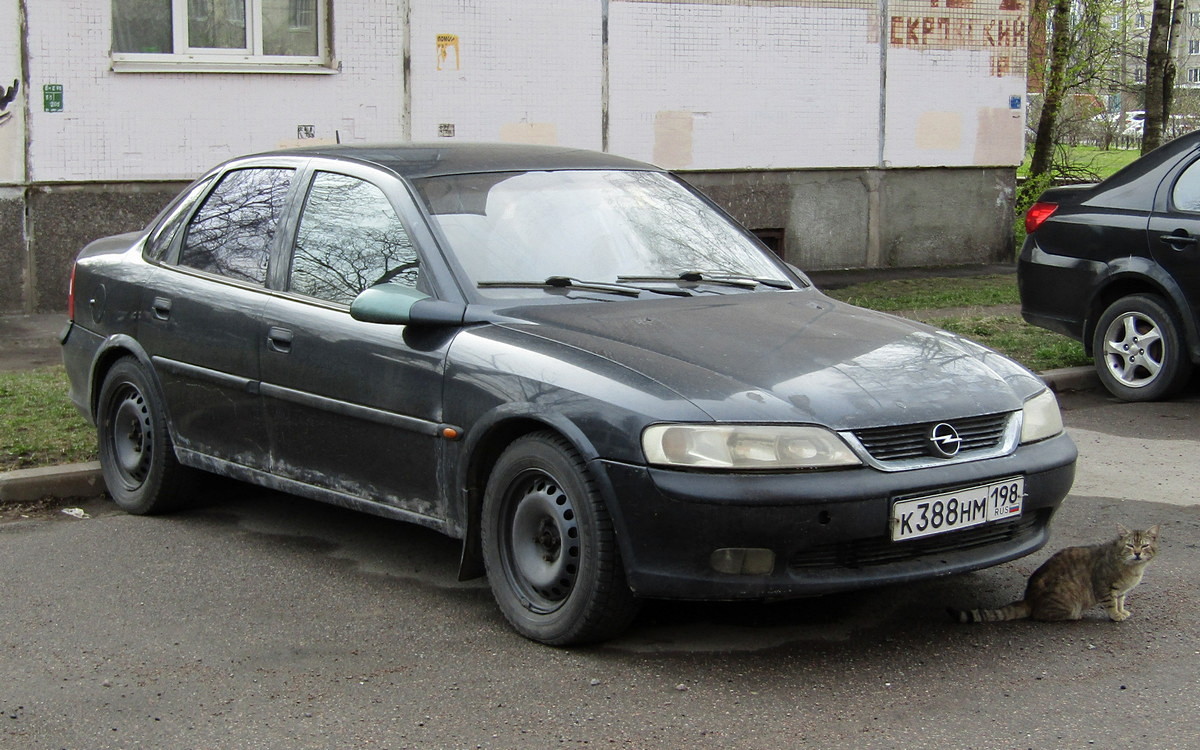 Санкт-Петербург, № К 388 НМ 198 — Opel Vectra (B) '95-02