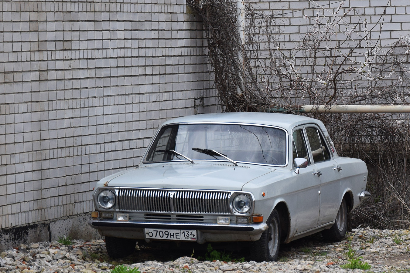 Волгоградская область, № О 709 НЕ 134 — ГАЗ-24 Волга '68-86