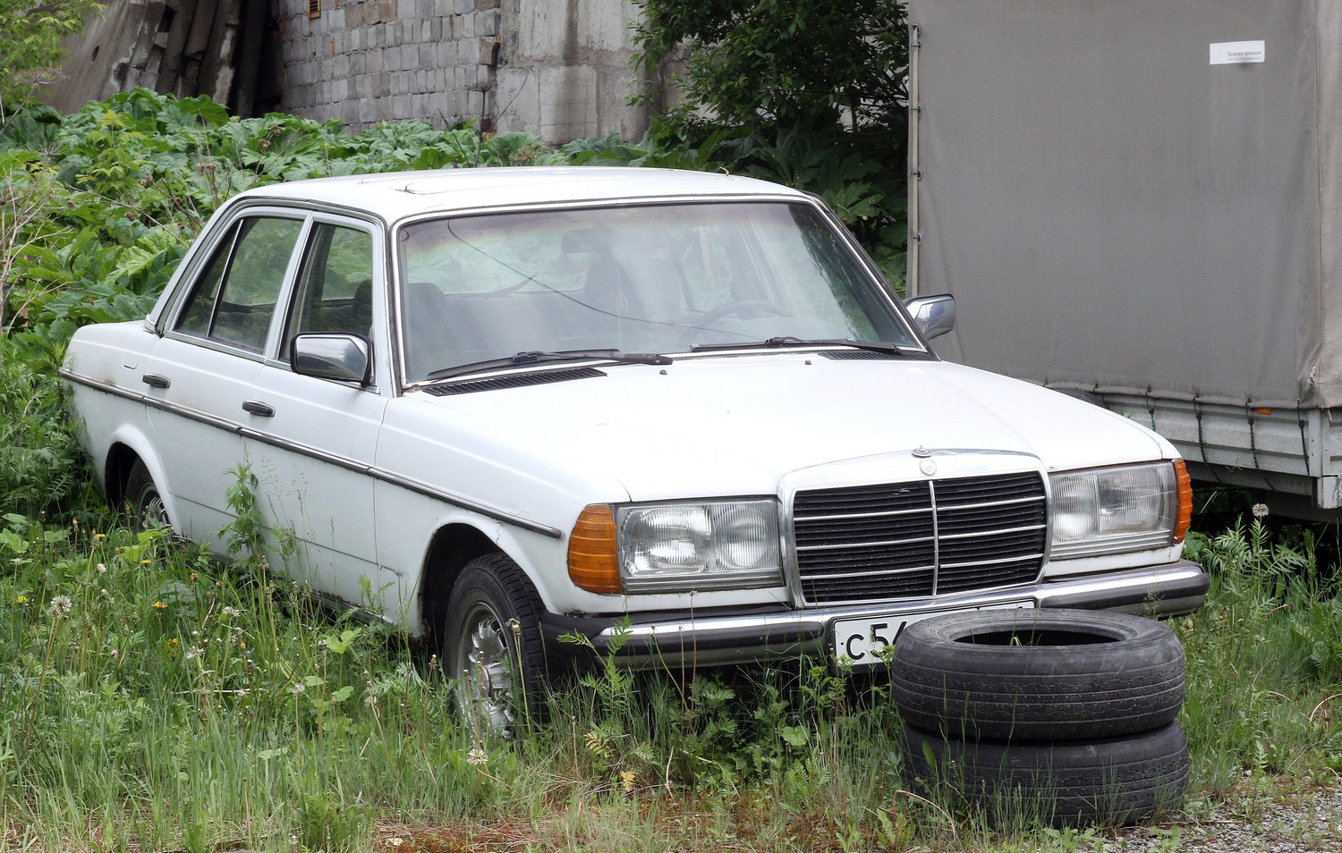 Свердловская область, № С 542 НУ 196 — Mercedes-Benz (W123) '76-86