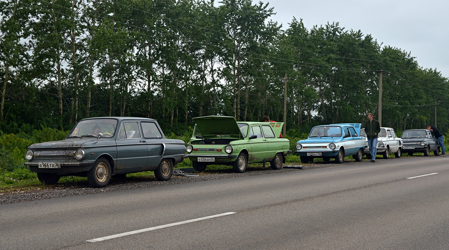 Воронежская область, № А 966 ТА 36 — ЗАЗ-966В Запорожец '66-72; Воронежская область, № В 336 АР 36 — ЗАЗ-968М Запорожец '79-94; Воронежская область, № Т 026 АС 136 — ЗАЗ-968М Запорожец '79-94; Воронежская область, № Н 600 НО 36 — ЗАЗ-966В Запорожец '66-72
