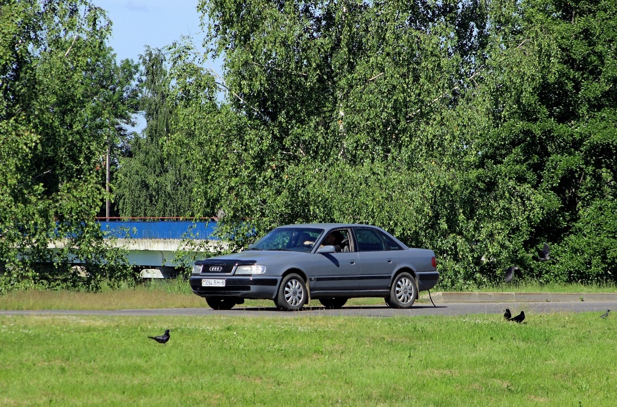 Могилёвская область, № 3094 ВН-6 — Audi 100 (C4) '90-94