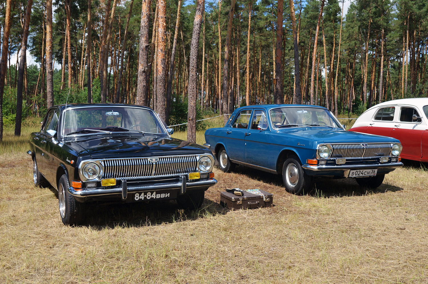 Воронежская область, № 84-84 ВВИ — ГАЗ-24 Волга '68-86; Воронежская область, № В 024 СН 36 — ГАЗ-24-01 Волга '70-86