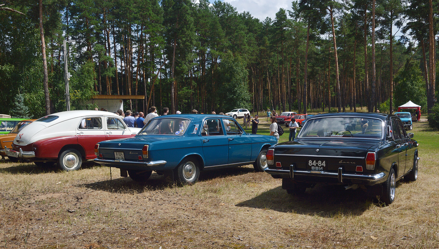 Воронежская область, № В 024 СН 36 — ГАЗ-24-01 Волга '70-86; Воронежская область, № 84-84 ВВИ — ГАЗ-24 Волга '68-86