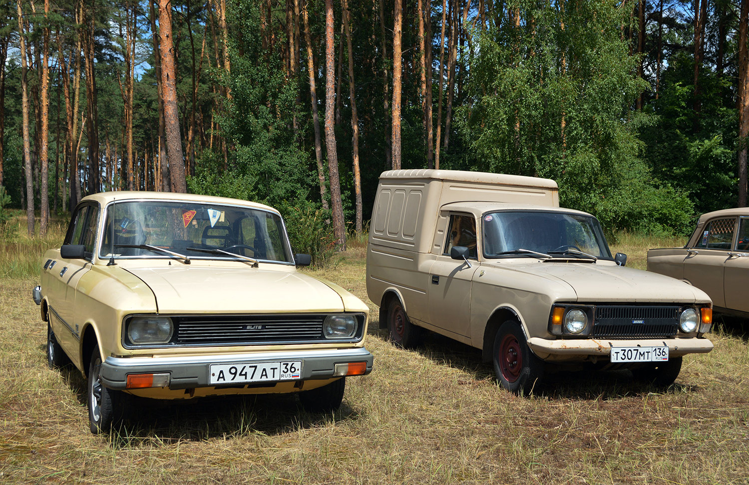 Воронежская область, № Ч 5923 ВВ — Москвич-2140-117 (2140SL) '80-88; Воронежская область, № Т 307 МТ 136 — Иж-2715-01 '82-01
