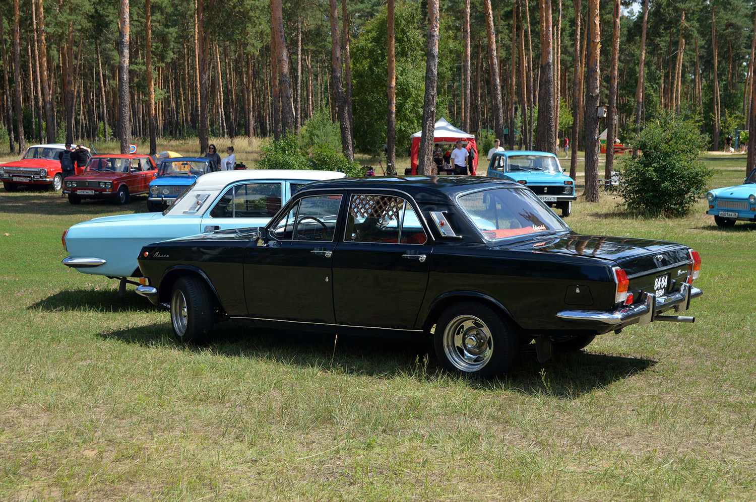 Воронежская область, № 84-84 ВВИ — ГАЗ-24 Волга '68-86