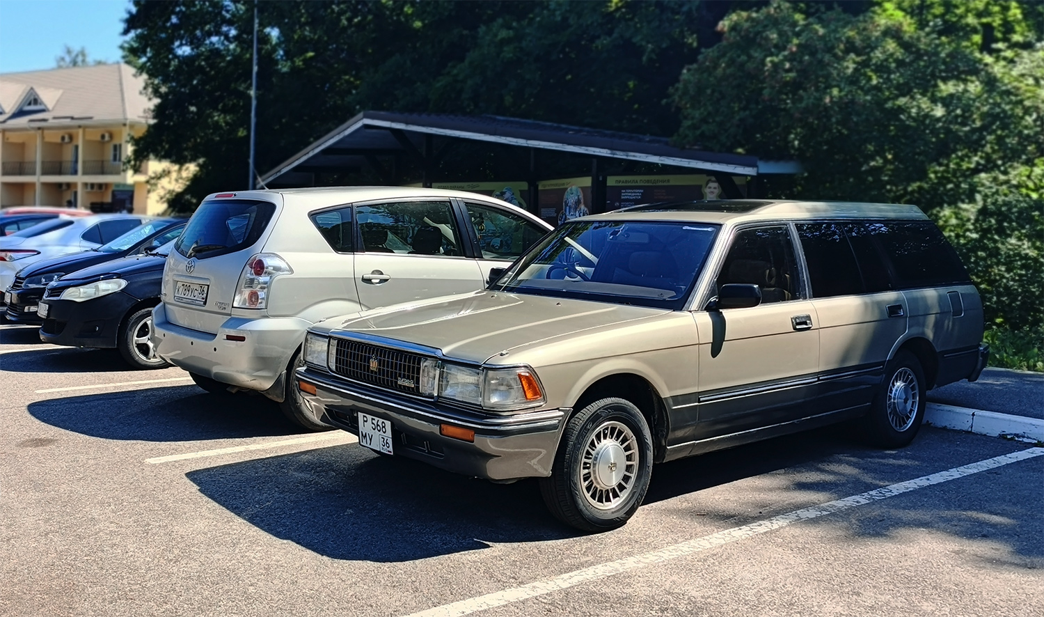 Воронежская область, № Р 568 МУ 36 — Toyota Crown (S130) '87-91