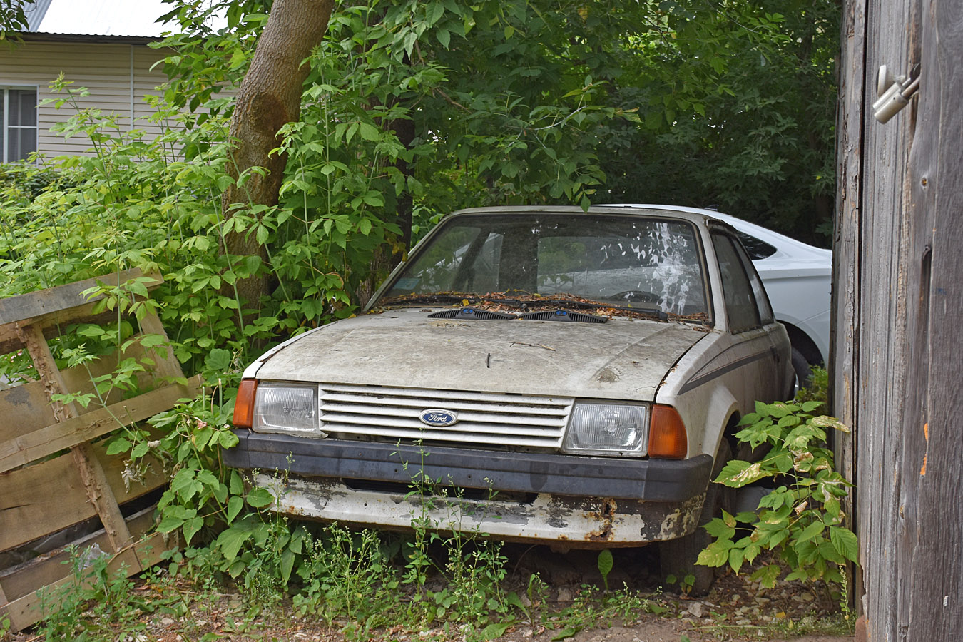 Рязанская область, № (62) Б/Н 0116 — Ford Escort MkIII '80-86
