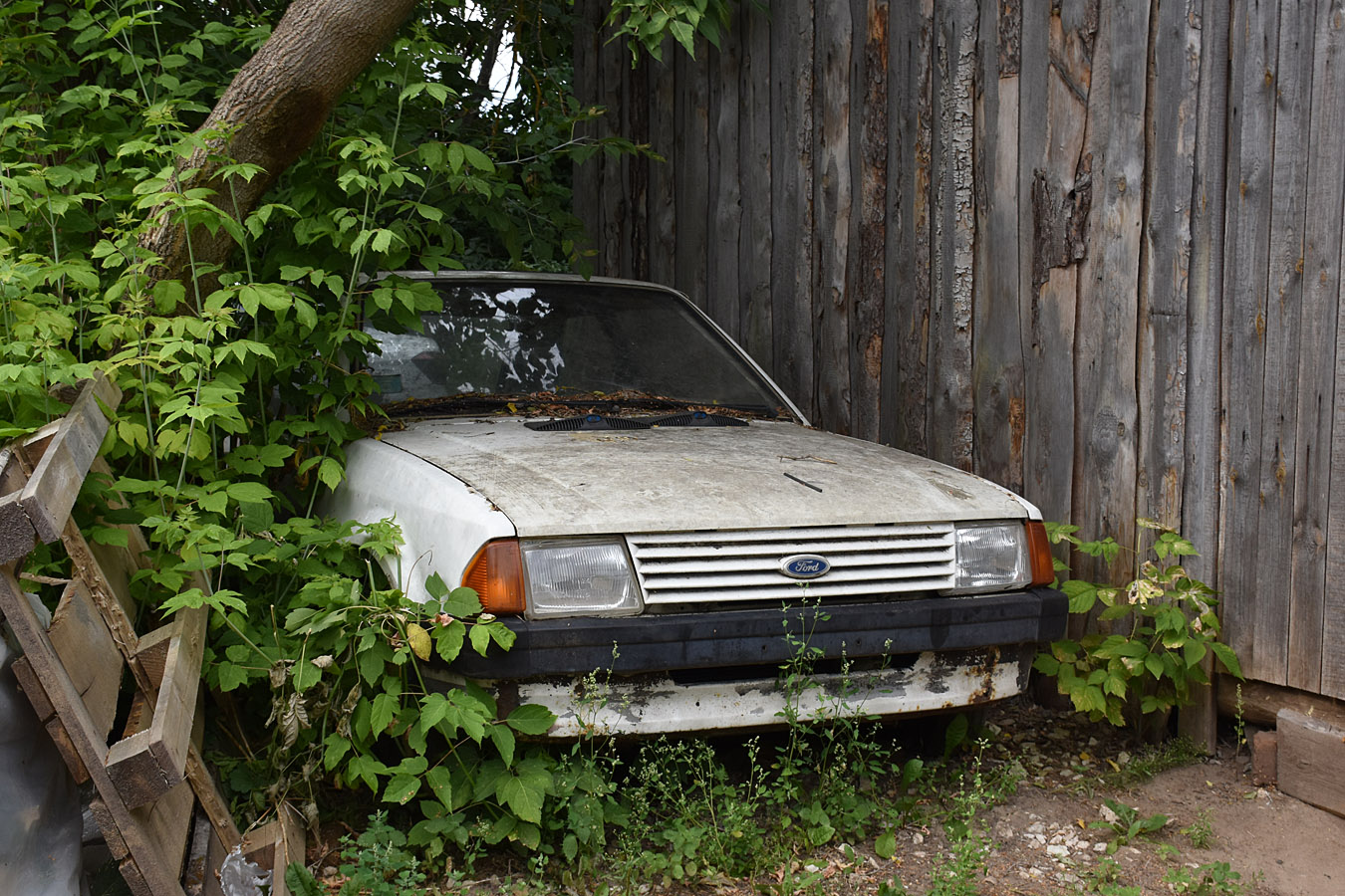 Рязанская область, № (62) Б/Н 0116 — Ford Escort MkIII '80-86