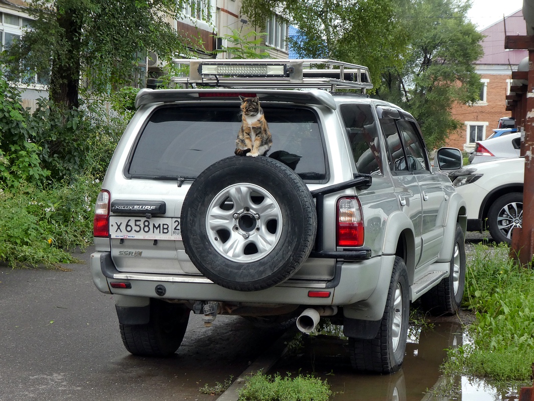 Приморский край, № Х 658 МВ 25 — Toyota Hilux Surf (N180) '95-02