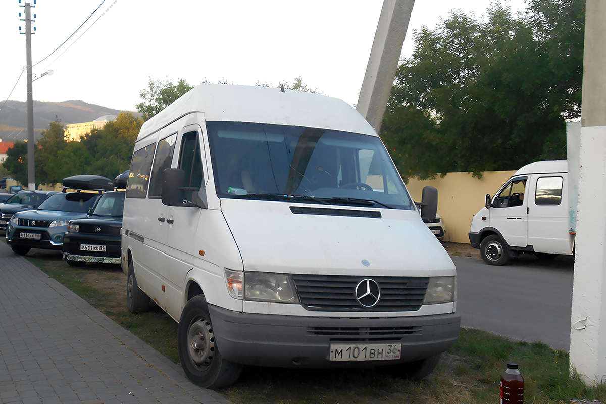 Воронежская область, № М 101 ВН 36 — Mercedes-Benz Sprinter (1G) '95-00