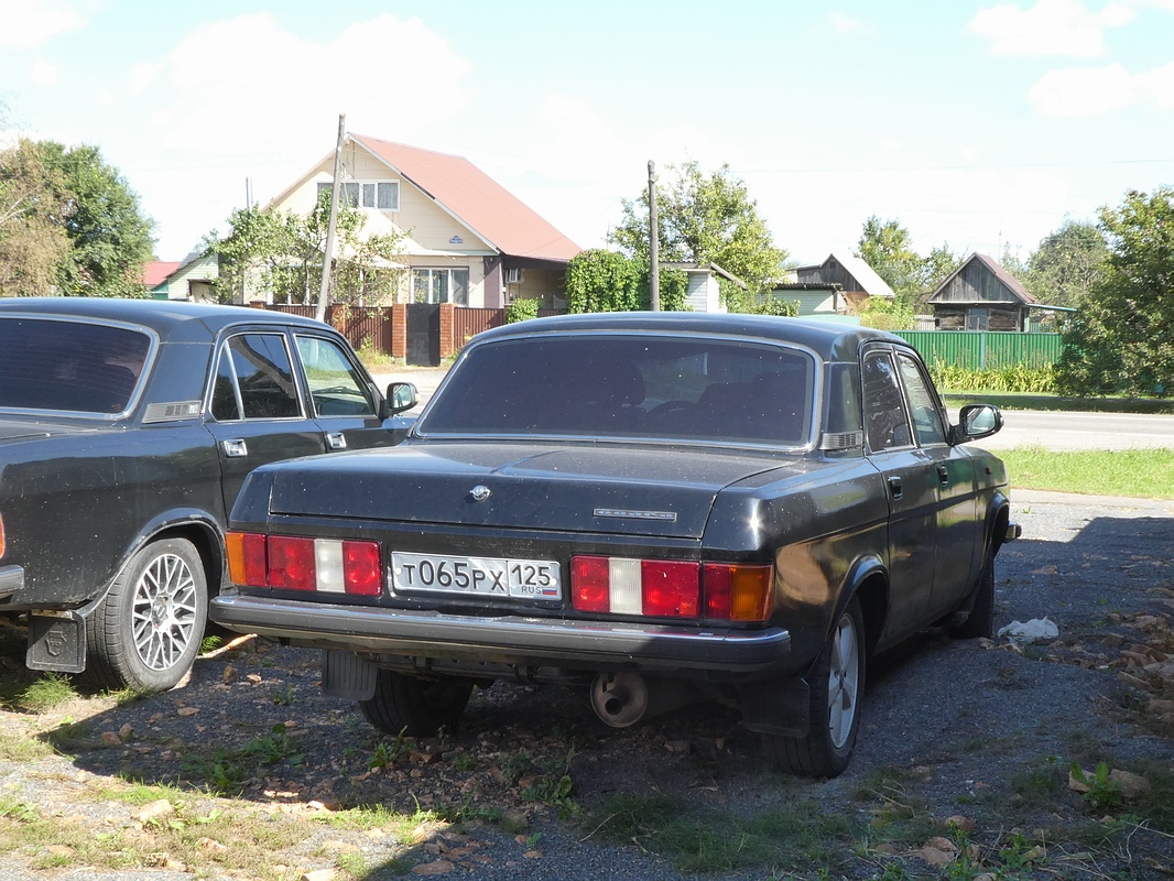 Приморский край, № Т 065 РХ 125 — ГАЗ-3102 Волга '81-08