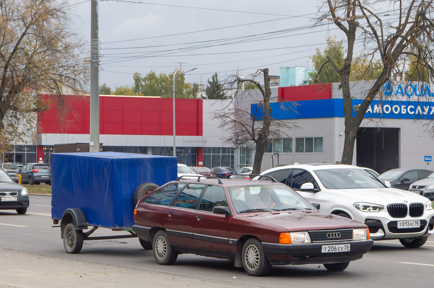 Пензенская область, № Т 206 ЕХ 58 — Audi 100 Avant (C3) '82-91