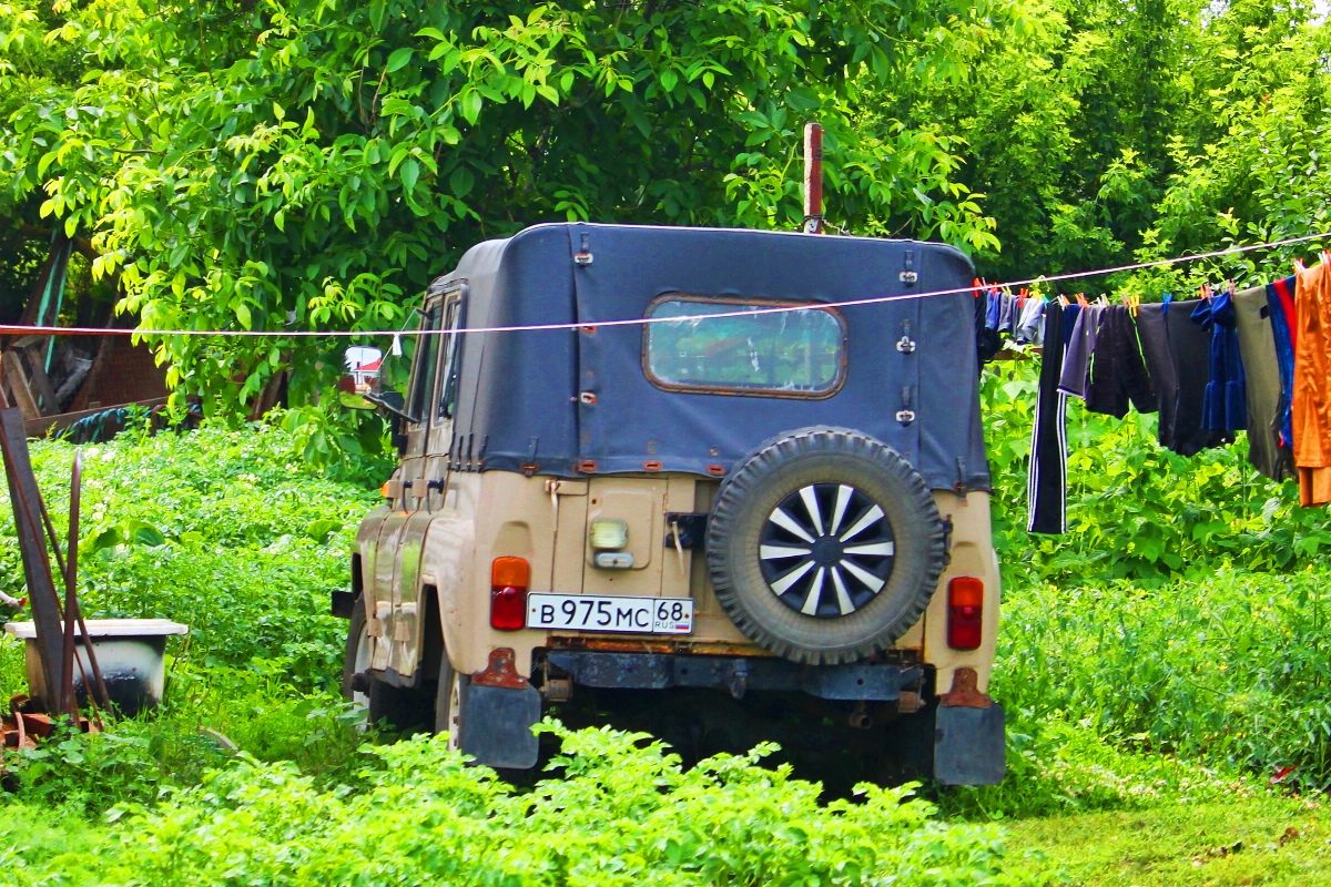 Тамбовская область, № В 975 МС 68 — УАЗ-3151 '85-03