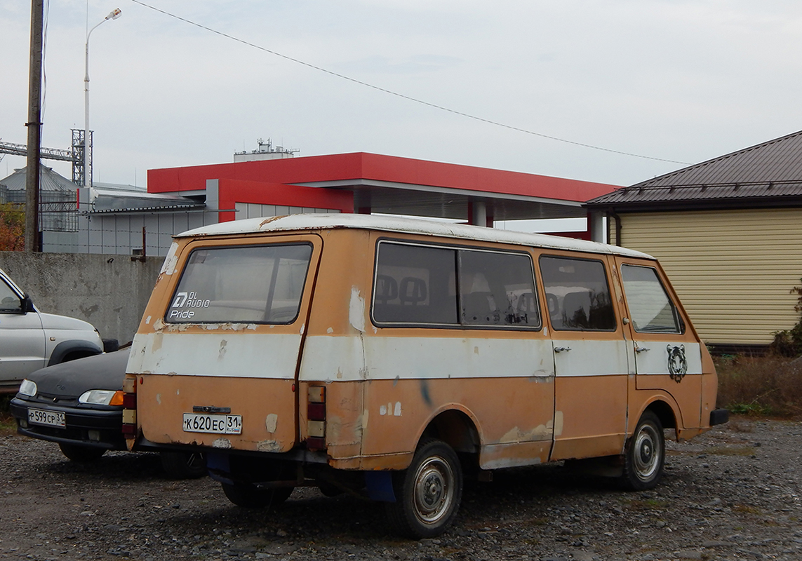 Белгородская область, № К 620 ЕС 31 — РАФ-2203-01 Латвия '86-94
